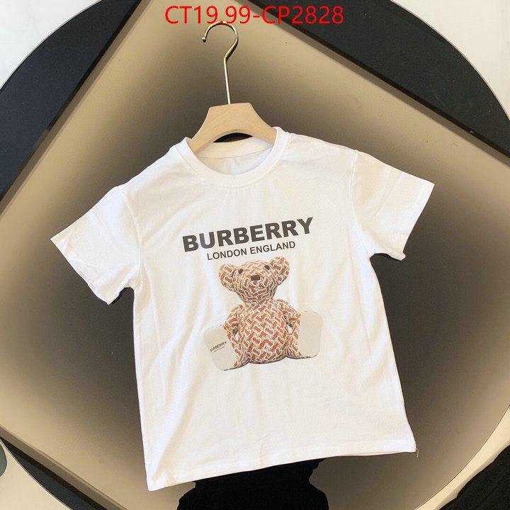Kids clothing-Burberry,high quality , ID: CP2828,