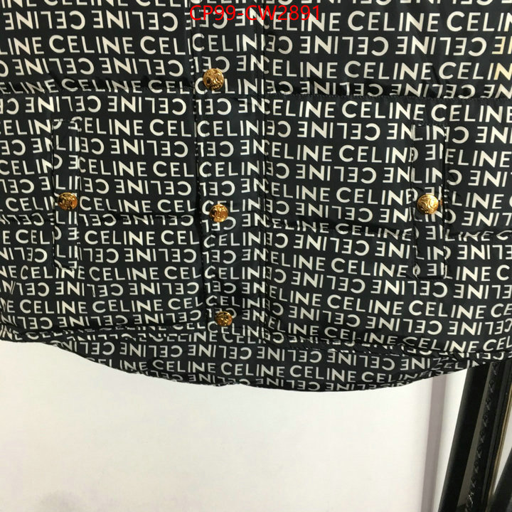 Down jacket Women-Celine,what best designer replicas , ID: CW2891,$: 99USD