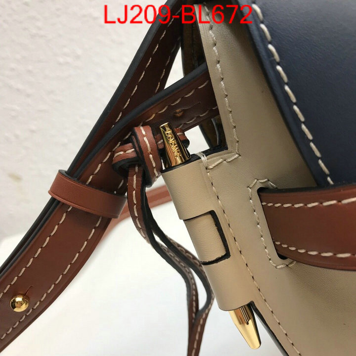 Loewe Bags(TOP)-Diagonal-,the best ,ID: BL672,$:209USD