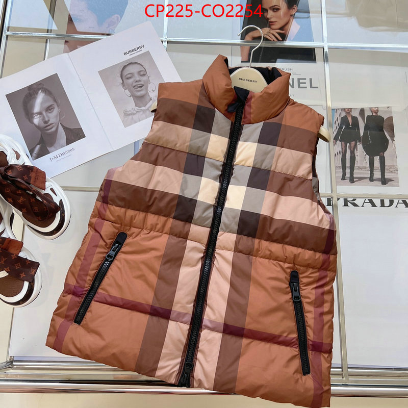 Down jacket Women-Burberry,the best , ID: CO2254,$: 225USD