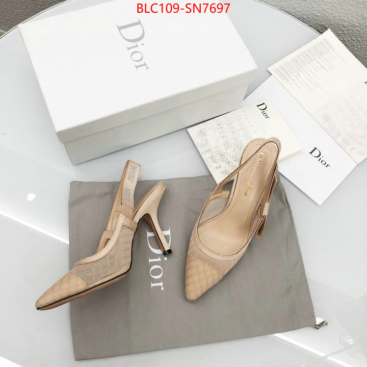 Women Shoes-Dior,top quality designer replica , ID: SN7697,$: 109USD