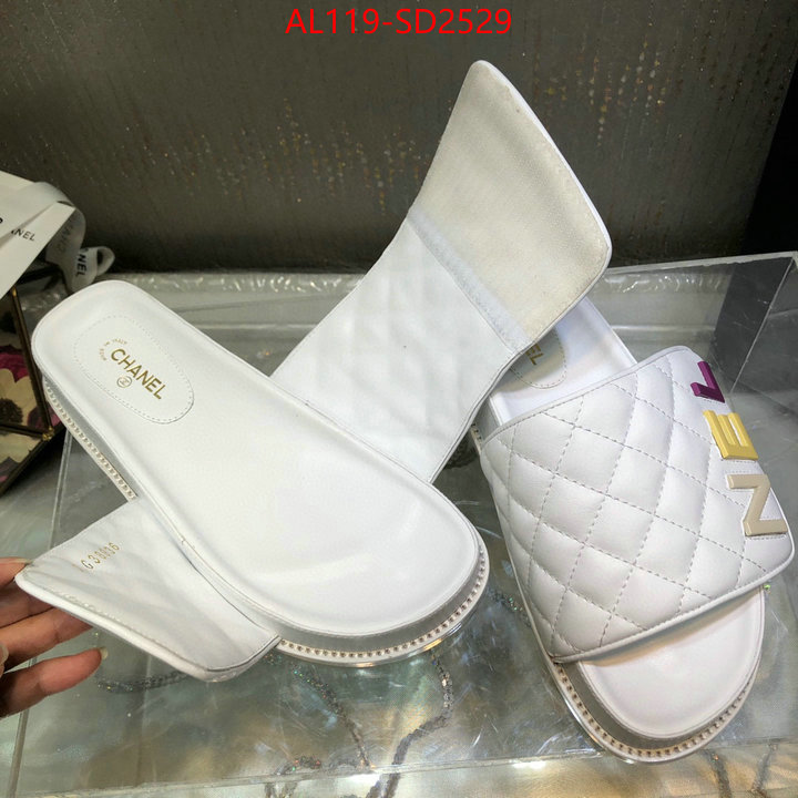 Women Shoes-Chanel,replicas , ID: SD2529,$: 119USD