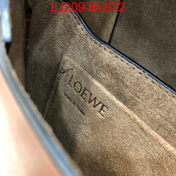 Loewe Bags(TOP)-Diagonal-,the best ,ID: BL672,$:209USD