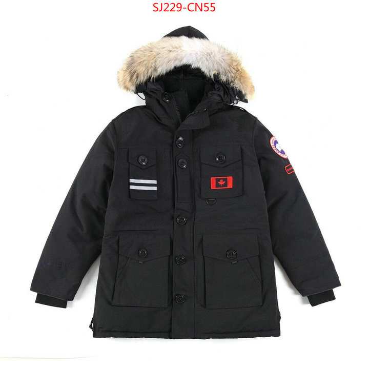 Down jacket Women-Canada Goose,2023 aaaaa replica 1st copy , ID: CN55,$: 229USD