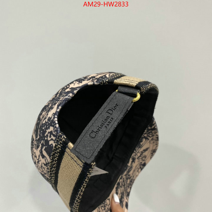 Cap (Hat)-Dior,aaaaa+ quality replica , ID: HW2833,$: 29USD