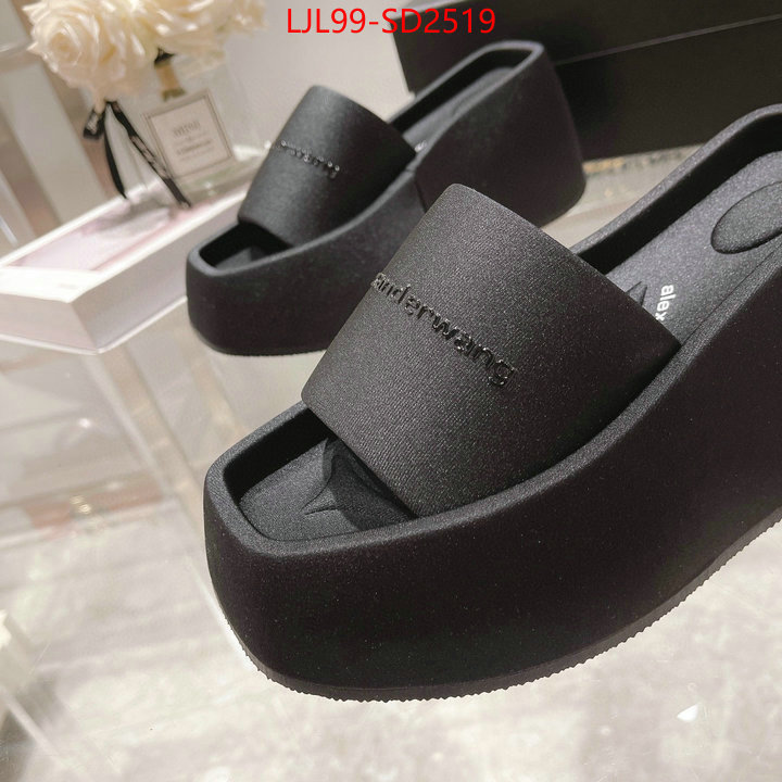 Women Shoes-Alexander Wang,sell high quality , ID: SD2519,$: 99USD