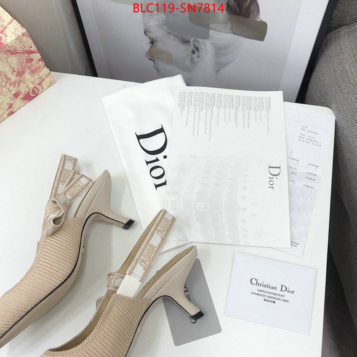 Women Shoes-Dior,how to find replica shop , ID: SN7814,$: 119USD