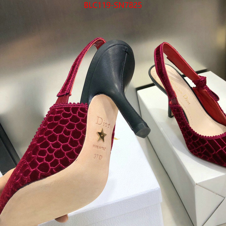 Women Shoes-Dior,buy 1:1 , ID: SN7825,$: 119USD