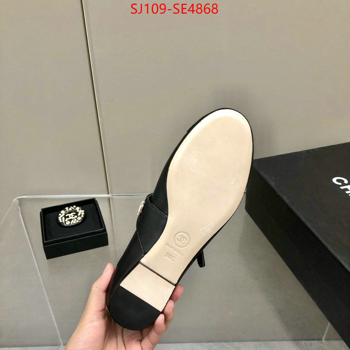 Women Shoes-Chanel,only sell high-quality , ID: SE4868,$: 109USD