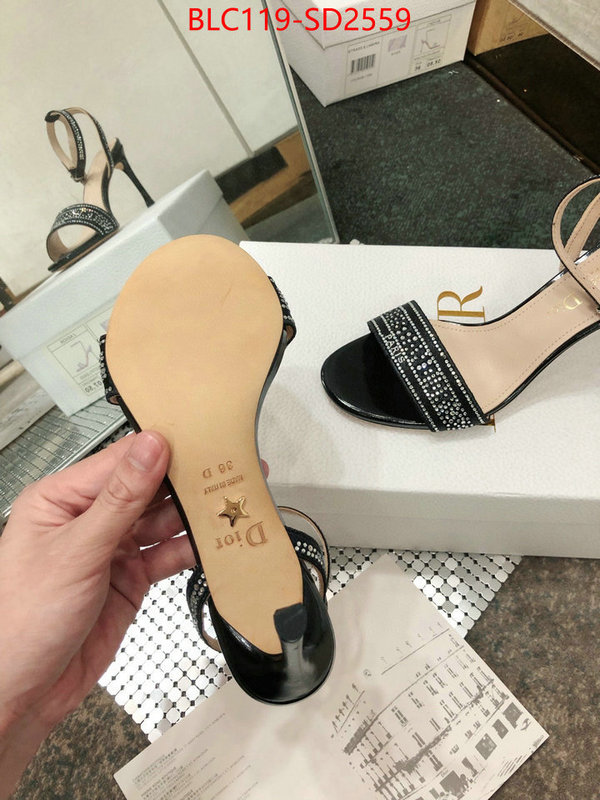 Women Shoes-Dior,is it ok to buy , ID: SD2559,$: 119USD