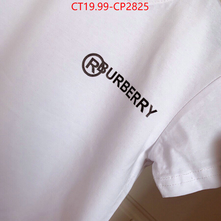 Kids clothing-Burberry,2023 luxury replicas , ID: CP2825,