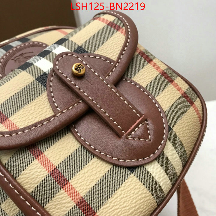 Burberry Bags(TOP)-Diagonal-,china sale ,ID: BN2219,$: 125USD