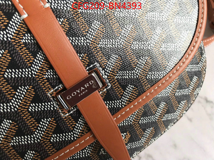 Goyard Bags(TOP)-Diagonal-,ID: BN4393,$: 209USD