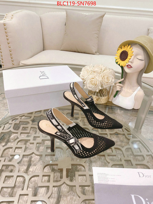 Women Shoes-Dior,how to buy replcia , ID: SN7698,$: 119USD