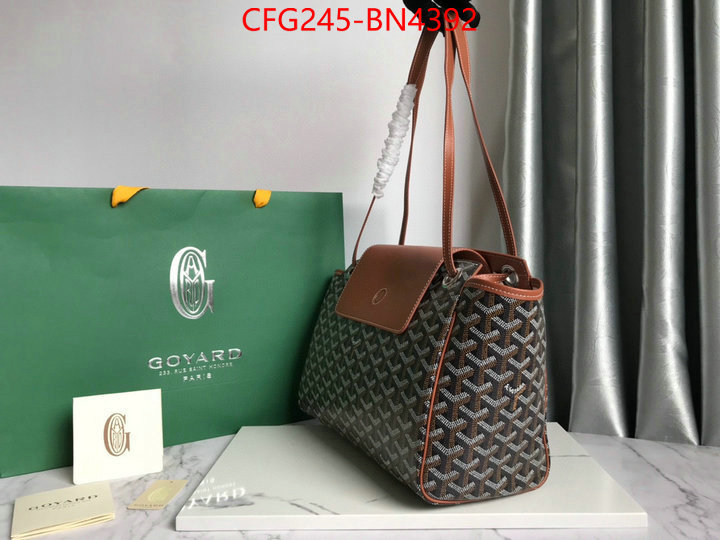 Goyard Bags(TOP)-Handbag-,ID: BN4392,$: 245USD