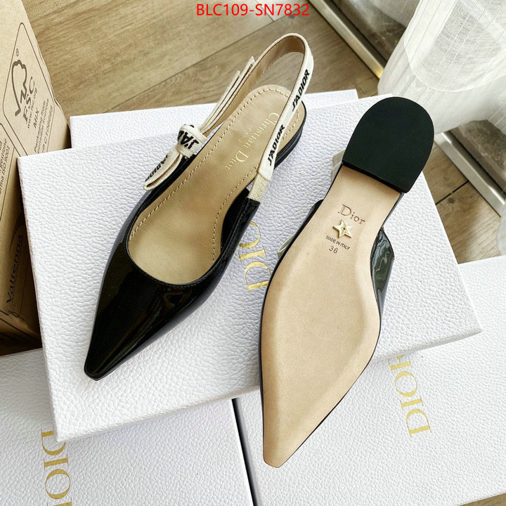 Women Shoes-Dior,2023 replica , ID: SN7832,$: 109USD