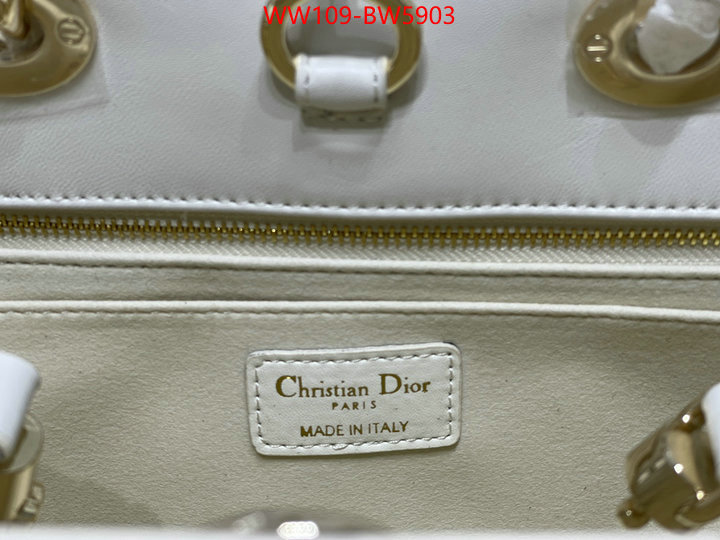 Dior Bags(4A)-Other Style-,ID: BW5903,$: 109USD