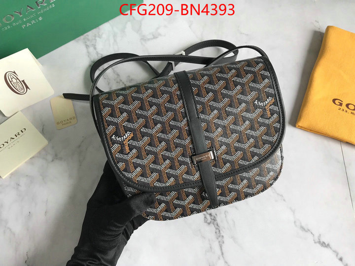 Goyard Bags(TOP)-Diagonal-,ID: BN4393,$: 209USD