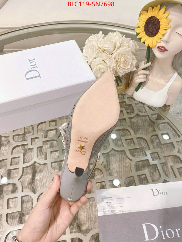 Women Shoes-Dior,how to buy replcia , ID: SN7698,$: 119USD