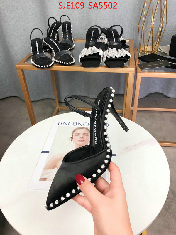 Women Shoes-Alexander Wang,wholesale china , ID: SA5502,$: 109USD