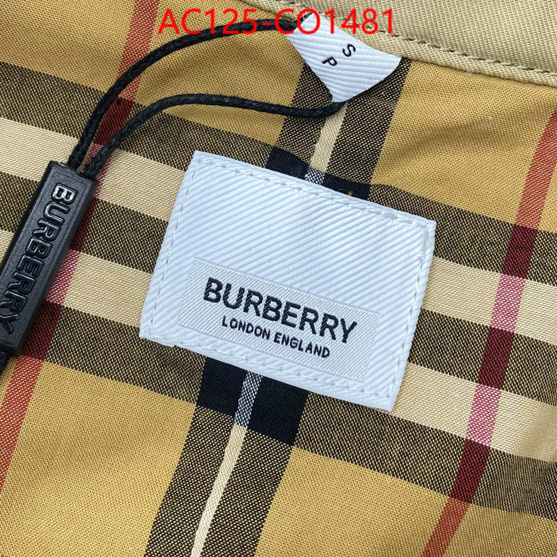 Down jacket Women-Burberry,designer , ID: CO1481,$: 125USD