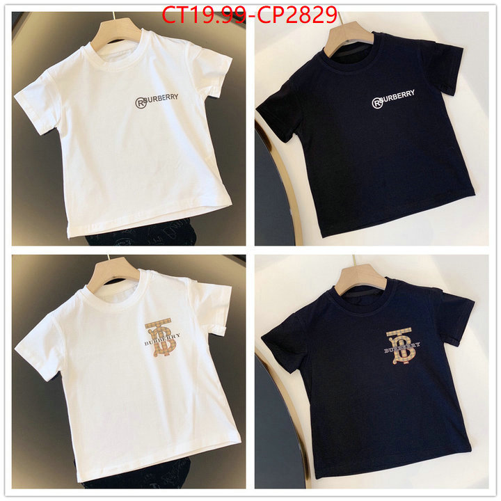 Kids clothing-Burberry,replica sale online , ID: CP2829,