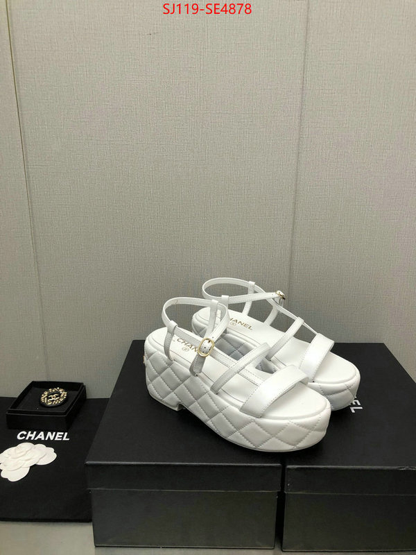 Women Shoes-Chanel,quality replica , ID: SE4878,$: 119USD