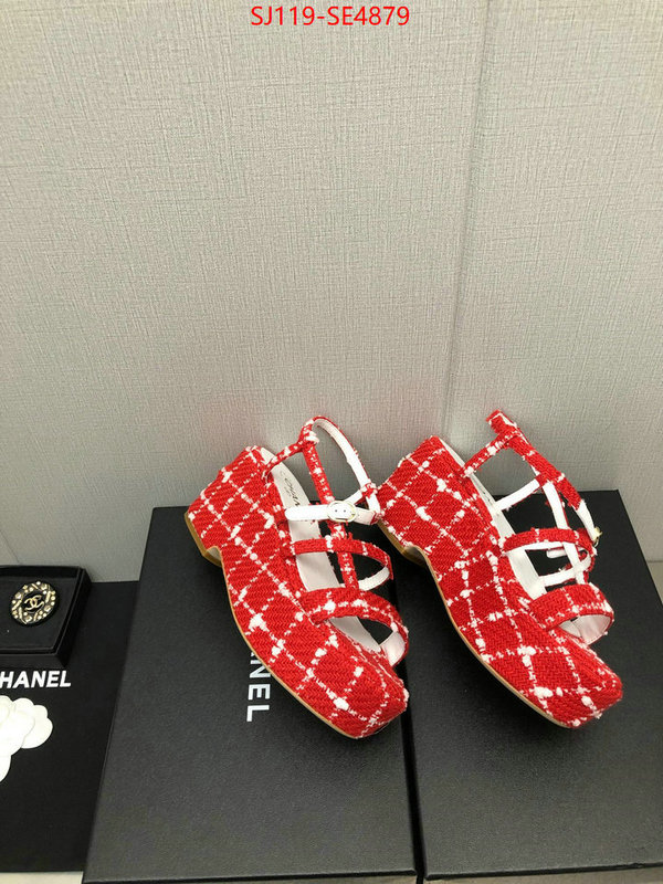 Women Shoes-Chanel,cheap replica designer , ID: SE4879,$: 119USD