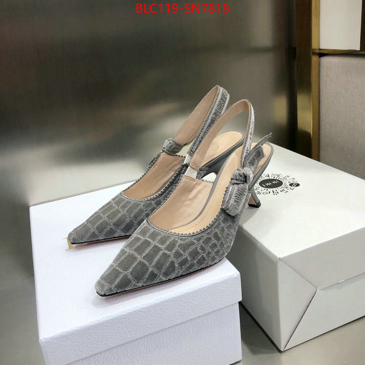 Women Shoes-Dior,aaaaa+ quality replica , ID: SN7818,$: 119USD