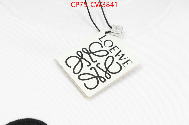 Clothing-Loewe,the most popular , ID: CW3841,$: 75USD