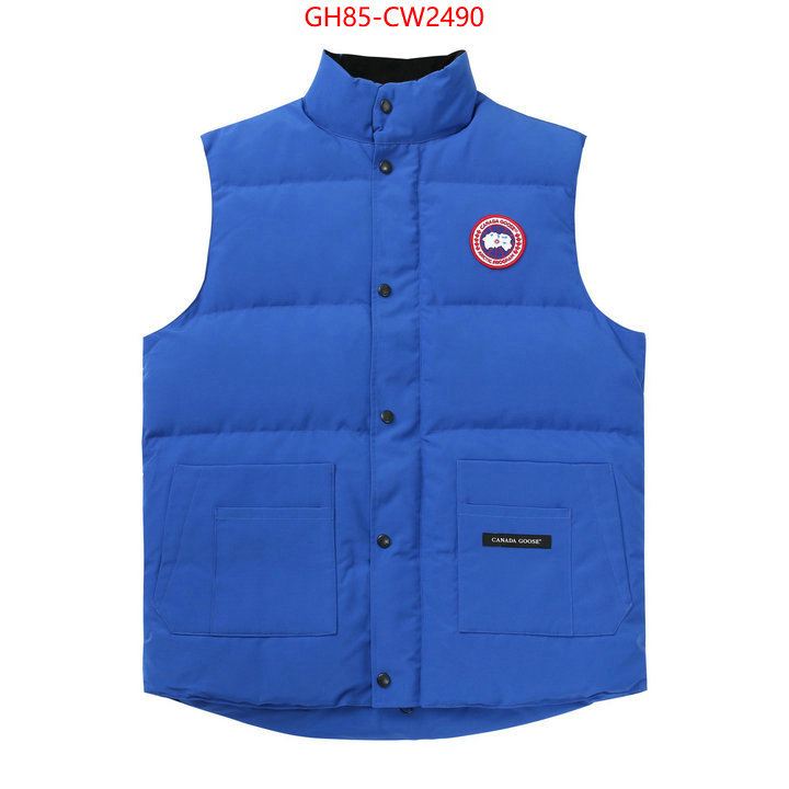 Down jacket Women-Canada Goose,replica wholesale , ID: CW2490,$: 85USD