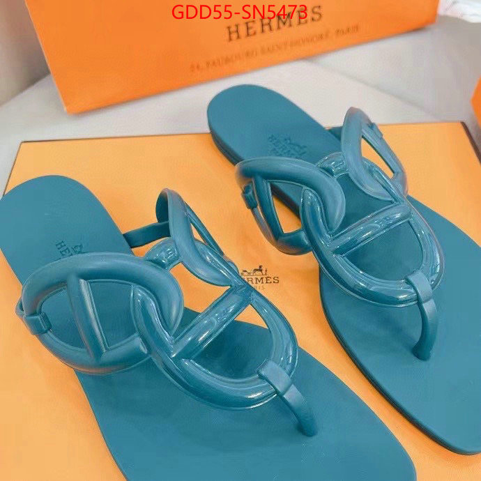 Women Shoes-Hermes,online store , ID: SN5473,$: 55USD