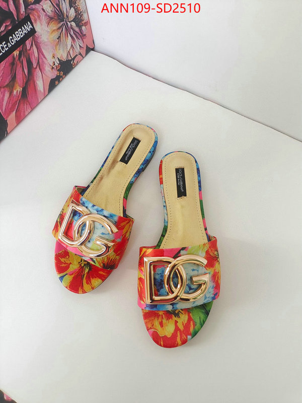 Women Shoes-DG,what 1:1 replica , ID: SD2510,$: 109USD