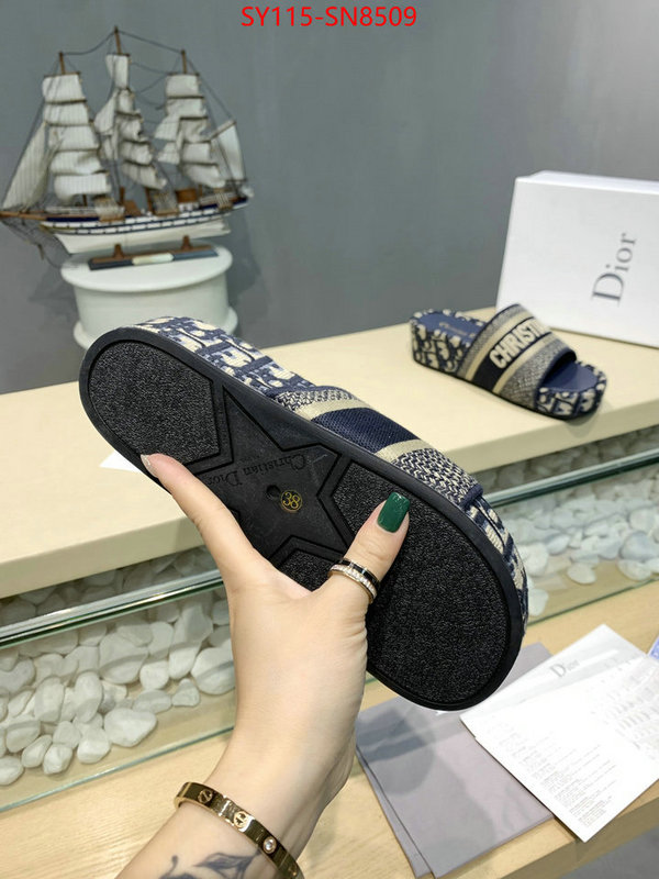 Women Shoes-Dior,sell online , ID: SN8509,$: 115USD