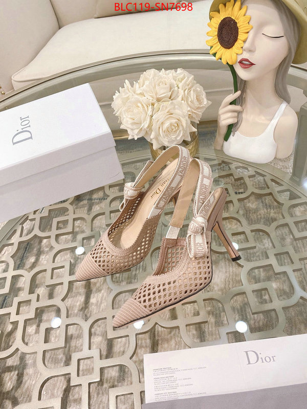 Women Shoes-Dior,how to buy replcia , ID: SN7698,$: 119USD