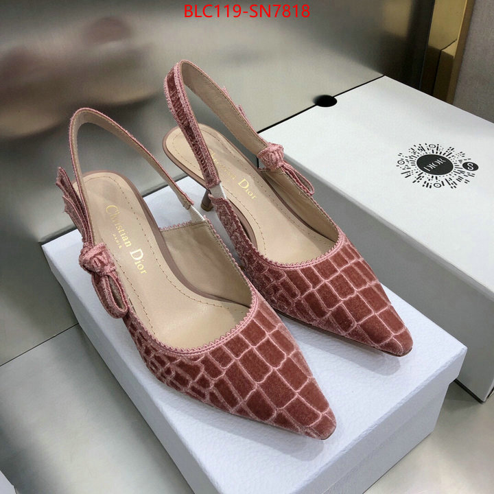 Women Shoes-Dior,aaaaa+ quality replica , ID: SN7818,$: 119USD