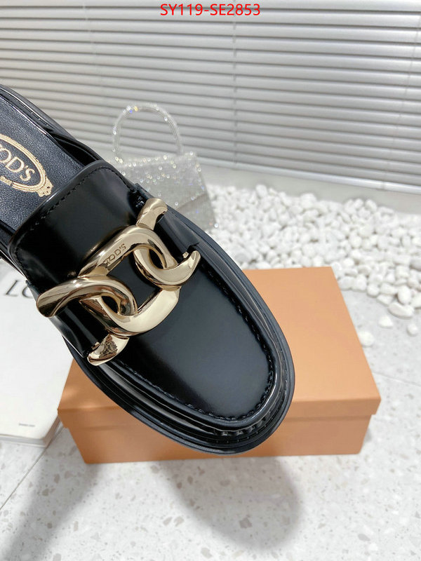 Women Shoes-Tods,top fake designer ,high quality replica designer , ID: SE2853,$: 119USD