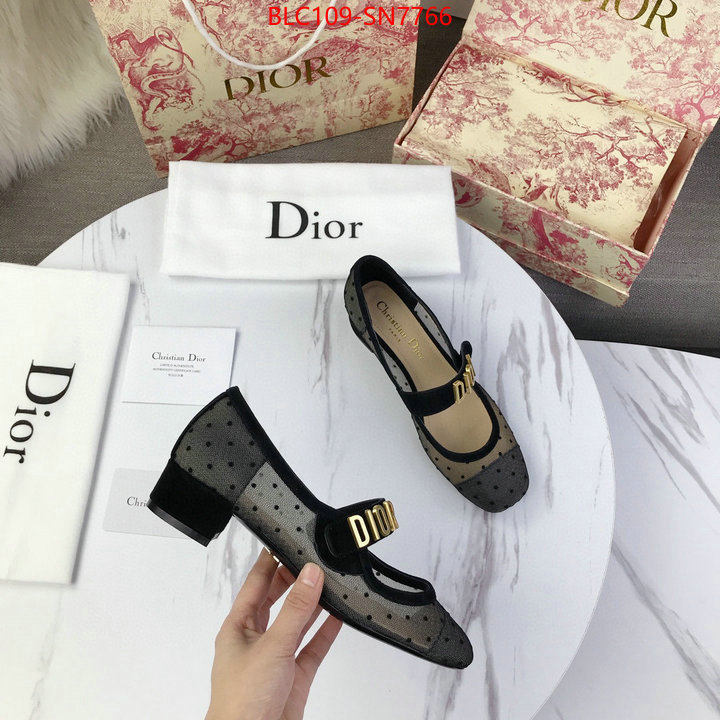 Women Shoes-Dior,what is aaaaa quality , ID: SN7766,$: 109USD