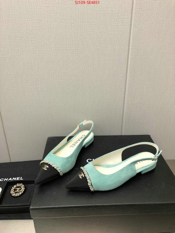 Women Shoes-Chanel,can you buy knockoff , ID: SE4851,$: 109USD