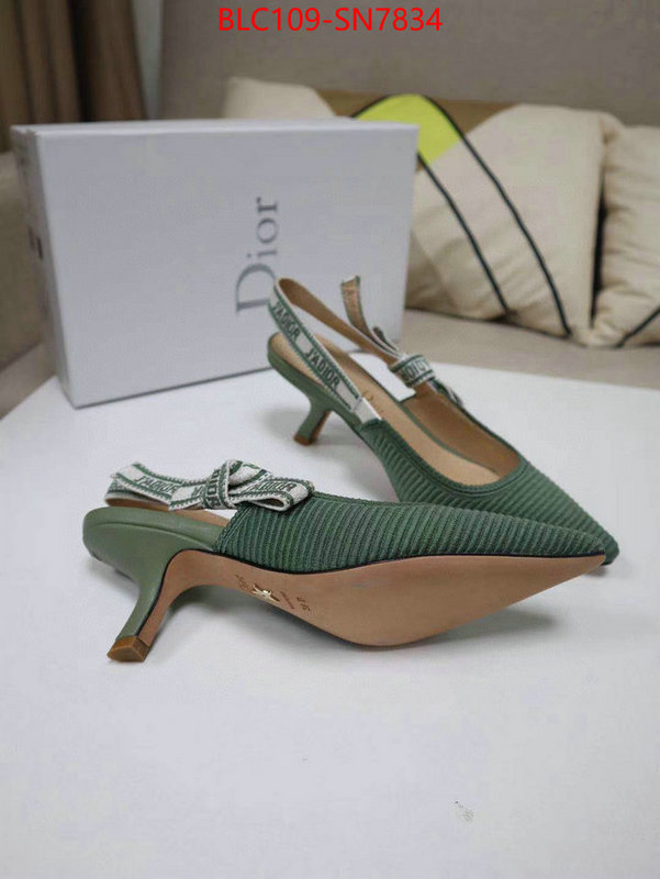 Women Shoes-Dior,the highest quality fake , ID: SN7834,$: 109USD