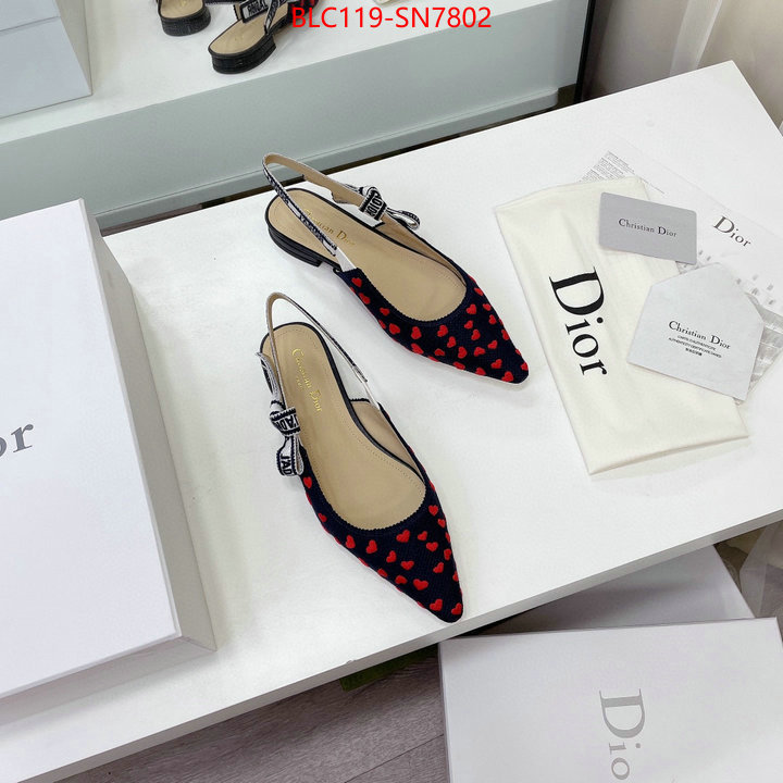 Women Shoes-Dior,high end designer , ID: SN7802,$: 119USD