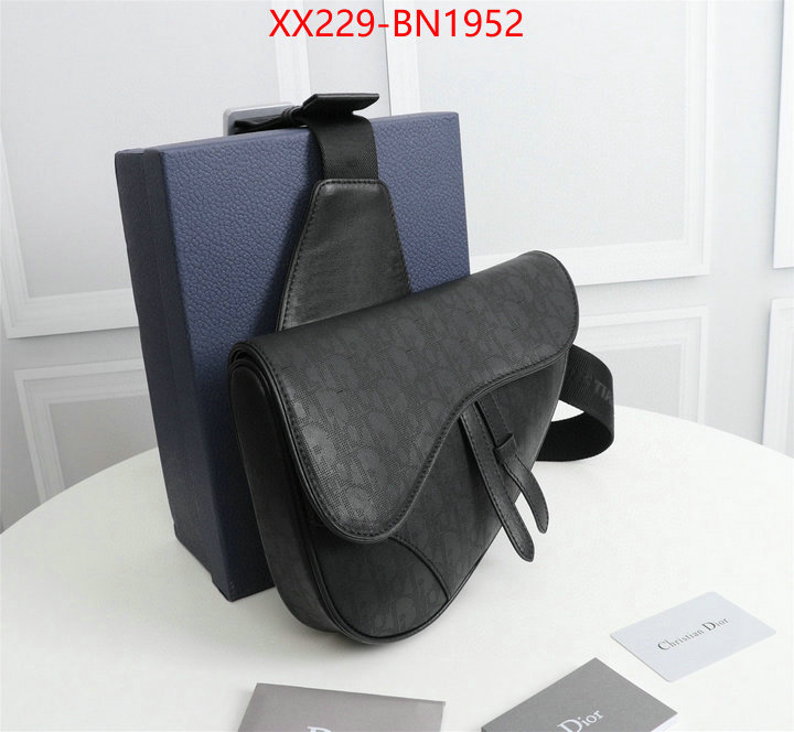 Dior Bags(TOP)-Saddle-,ID: BN1952,$: 229USD