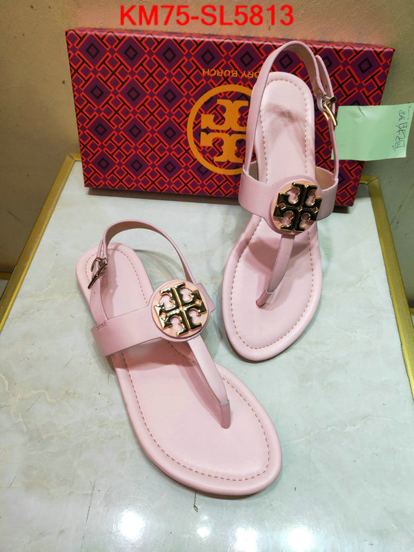 Women Shoes-Tory Burch,aaaaa+ replica , ID: SL5813,$: 75USD