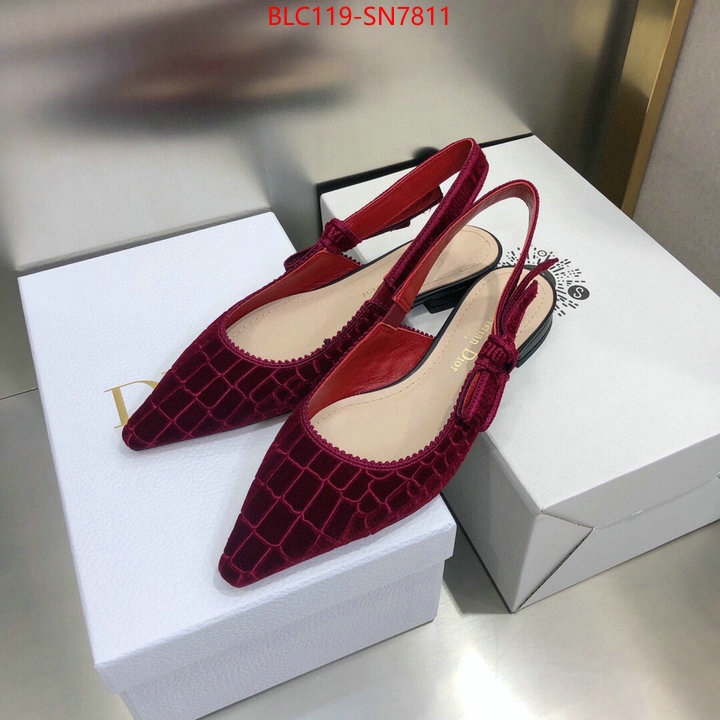 Women Shoes-Dior,how to buy replcia , ID: SN7811,$: 119USD