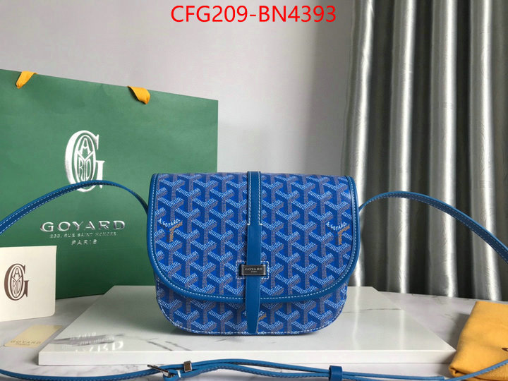 Goyard Bags(TOP)-Diagonal-,ID: BN4393,$: 209USD