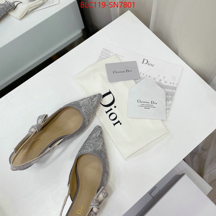 Women Shoes-Dior,what 1:1 replica , ID: SN7801,$: 119USD