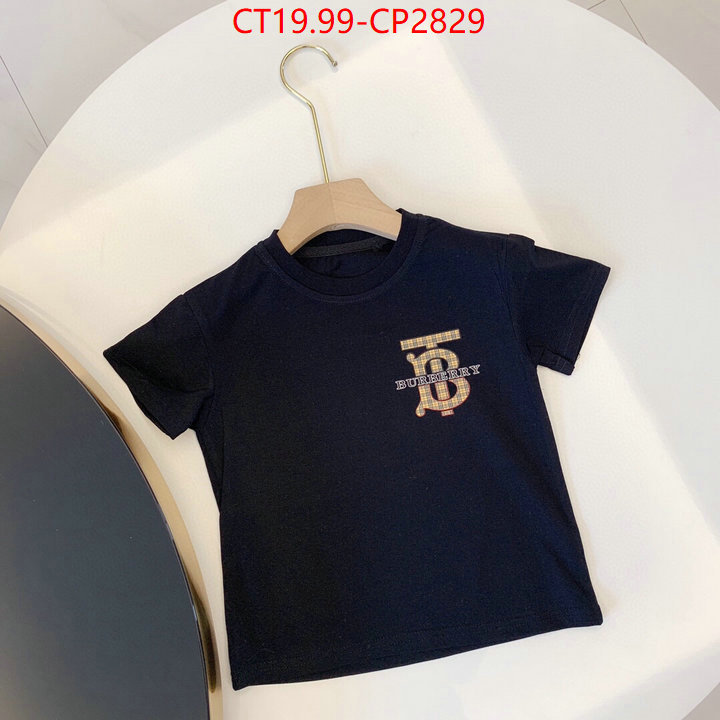 Kids clothing-Burberry,replica sale online , ID: CP2829,