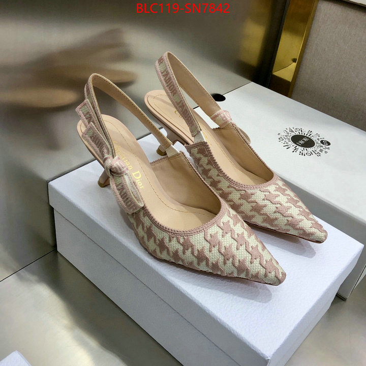 Women Shoes-Dior,designer 7 star replica , ID: SN7842,$: 119USD