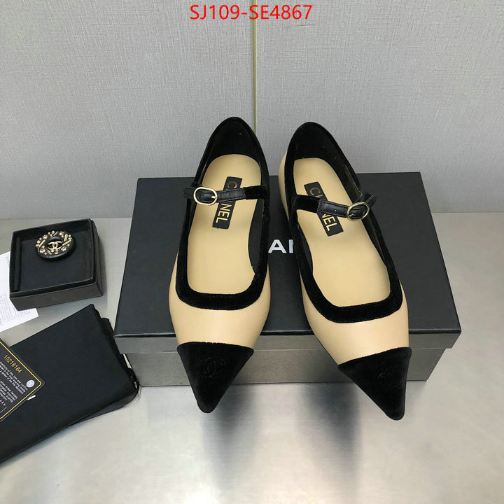 Women Shoes-Chanel,high-end designer , ID: SE4867,$: 109USD