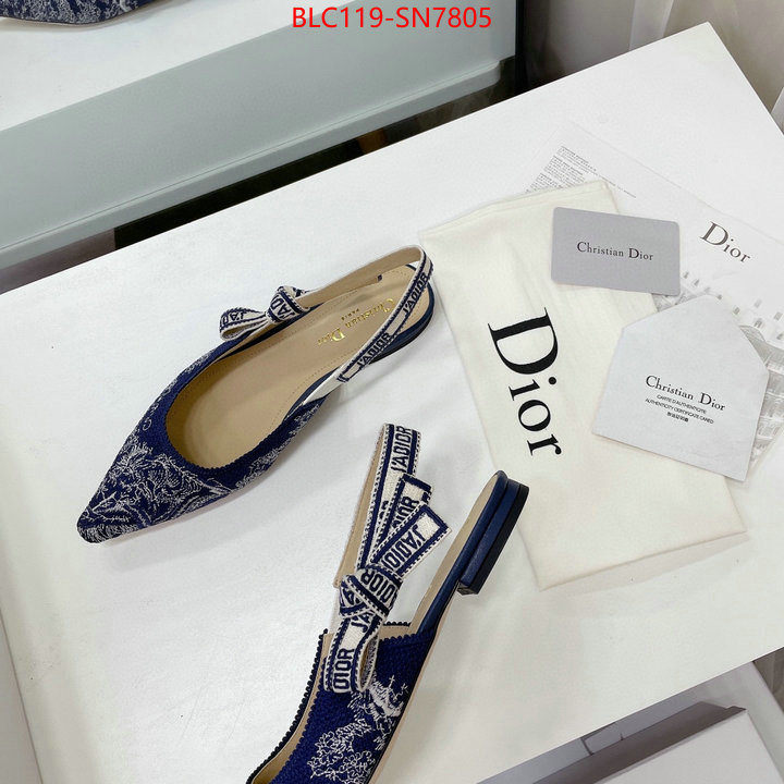 Women Shoes-Dior,the top ultimate knockoff , ID: SN7805,$: 119USD